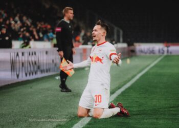 Moderni bekovi: Slučaj Amara Dedića