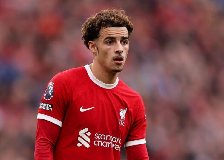 Liverpool neda Jonesa jeftino