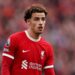 Liverpool neda Jonesa jeftino