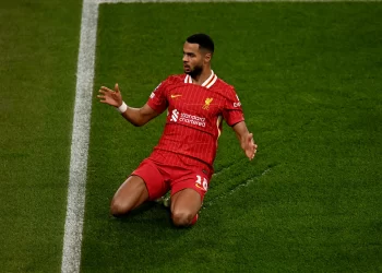 Gakpoova dilema u Liverpoolu