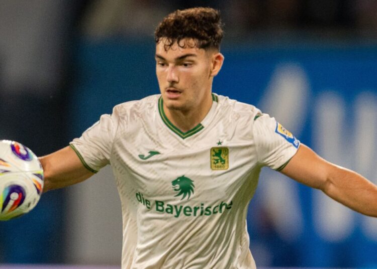 Hoffenheim osigurao defanzivnog talenta Dulica