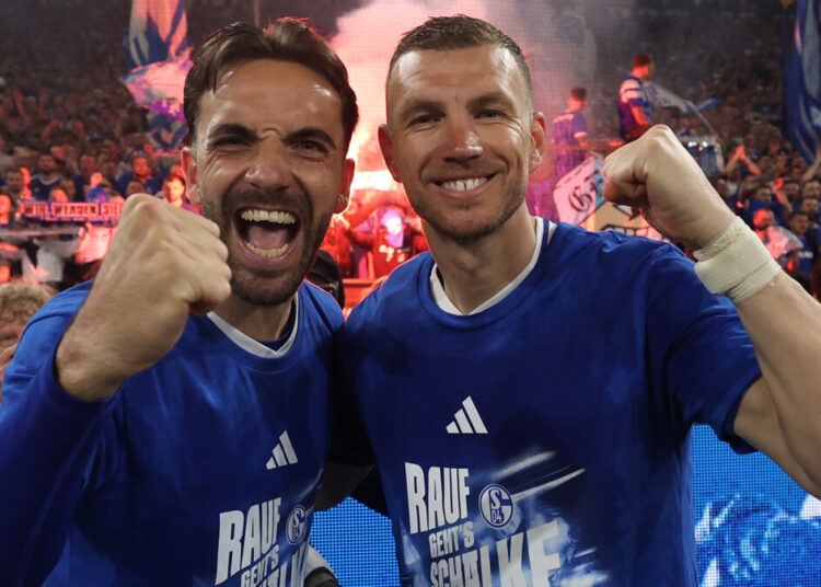 Schalke spreman platiti milion eura za ostanak bosanskog napadača