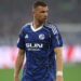Neizvjesna budućnost Edina Džeke u Schalkeu: Propada li novi ugovor?