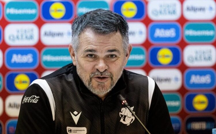 Willi Sagnol dobio otkaz nakon poraza od Sjeverne Irske